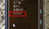 传奇私服发布,游戏生态解析与风险防范指南
