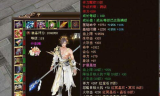 私服介绍与特点解析